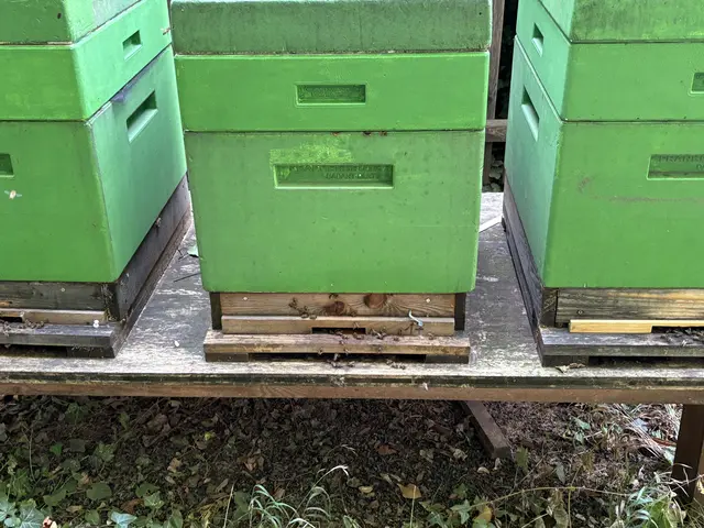 Foto: Nathanael Peterlini