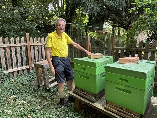 Roland Dippelreiter hat nach seiner Pension das Imkern als Hobby entdeckt. Neben den Biene im Theresianum hält der Bienenzüchter noch einen Stock bei der Kirche St. Florian.  | Foto: Nathanael Peterlini