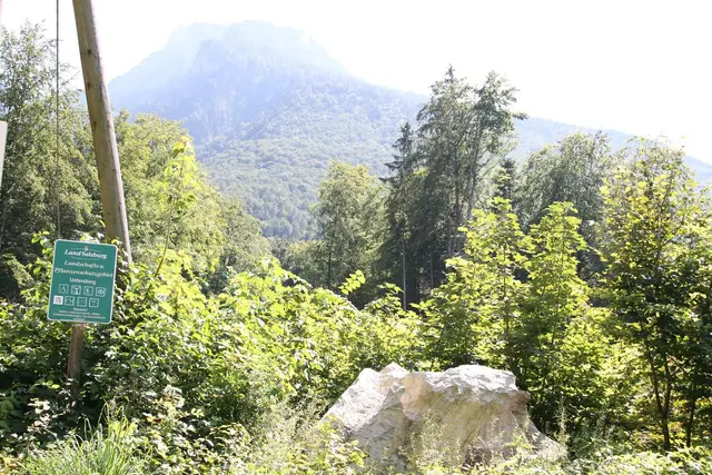 Wanderwege im Landschaftsschutzgebiet Untersberg.