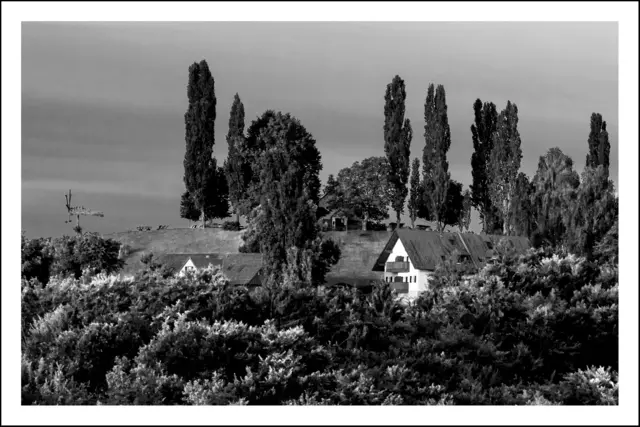 Bild 8521: Umgebung Gamlitz | Foto: © by Ing. Günter Kramarcsik