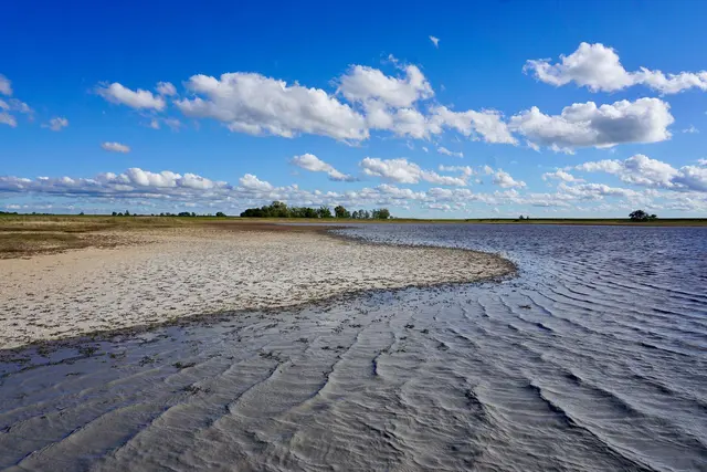 Von den ursprünglichen Lacken im Seewinkel sind nur mehr 18 Prozent vorhanden. | Foto: Arno Cimadom