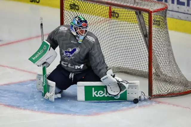 Die “Adler” treffen am Freitag auf die Grizzlys Wolfsburg. | Foto: VSV/Krammer