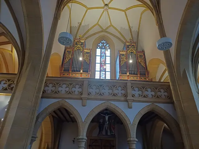 Foto: Monika Hammerl