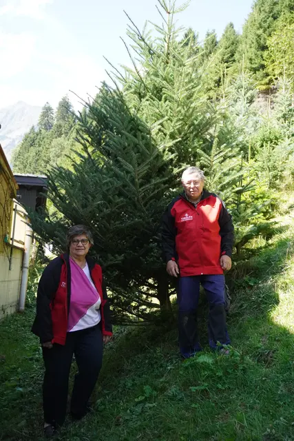 Johann und Helga Baier kümmern sich das ganze Jahr über um die Christbäume, die zu Weihnachten unsere Haushalte schmücken.  | Foto: AMG