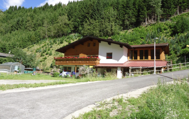 Die Bäume können am Hof selbst ausgesucht und geschlagen werden.  | Foto: Tiroler Christbäume