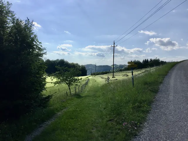 Weg zum Predigtstuhl in Gloxwald | Foto: MeinBezirk Perg