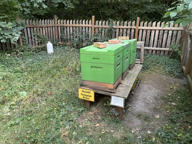 Foto: Nathanael Peterlini