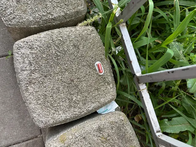 Seit einigen Monaten habe sich die Szene zunehmend in den Fritz-Imhoff-Park verlagert. | Foto: Pia Rotter/MeinBezirk