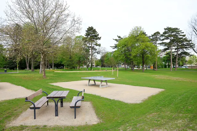 Peter hat Wünsche und Ideen für den Stadtpark Atzgersdorf.  | Foto: PID/Votava