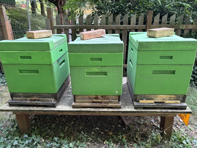 Foto: Nathanael Peterlini