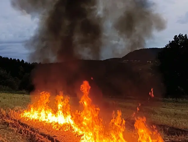 "Vegetationsbrand" stand am 20. August am Übungsplan der FF Gutau. | Foto: Freiwillige Feuerwehr Gutau