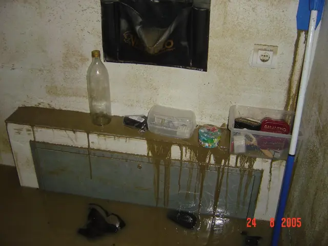 Wohnräume wurden verwüstet. Die Aufräumarbeiten dauerten mehrere Monate. | Foto: Gerhard Unterberger