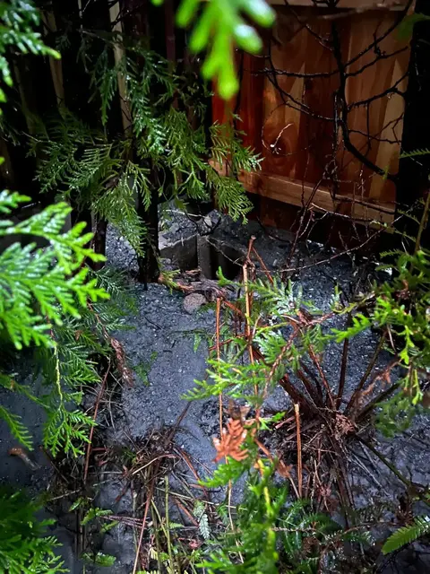 Foto: Feuerwehr Zell am See