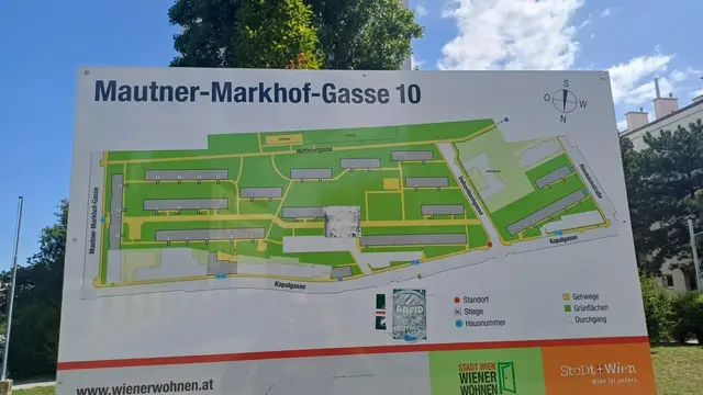 Die Hälfte der 100 Jungbäume wurden als Ersatzpflanzung gesetzt.  | Foto: Zukunft Stadtbaum