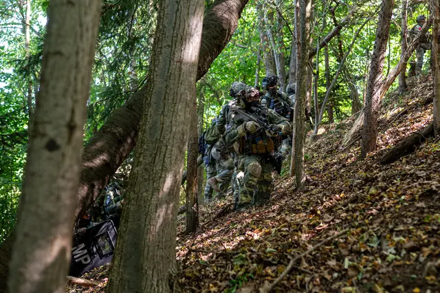 Bundesheer, Bundeswehr und Polizei üben gemeinsam in Kärnten. (Archivfoto) | Foto: Thomas Oberdorfer/Bundesheer