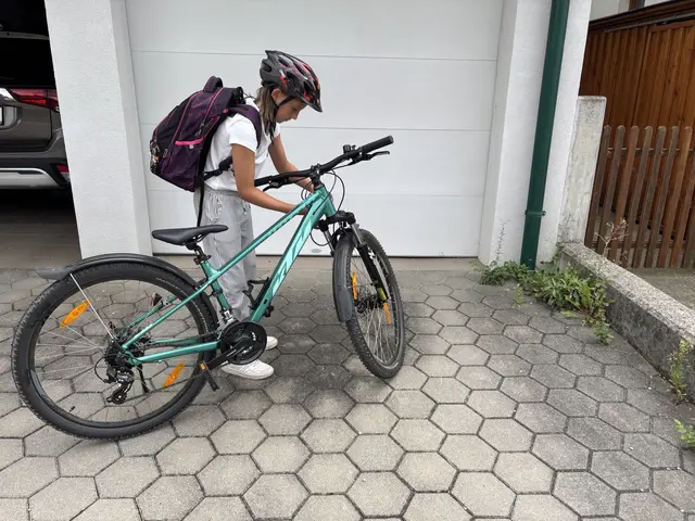 Sienna kennt sich gut in Hollabrunn und auf den Straßen aus. | Foto: Alexandra Goll