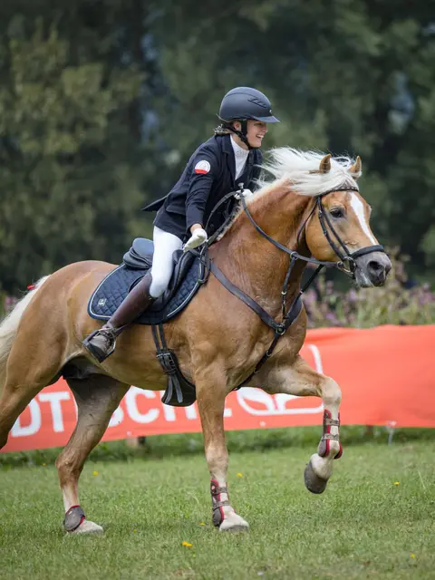 Elisabeth Planka mit ihrem Deckhengst „Starkenberg“. | Foto: MIKEs FotoGRAFie