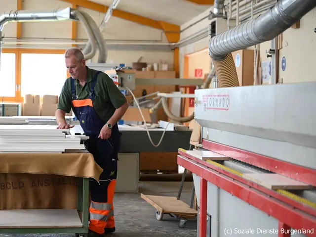 Die Selbsthilfe-Werkstätten-Burgenland-GmbH (SHW) suchen eine größere Betriebsstätte. Grund dafür ist die steigende Nachfrage sowie der wachsende Bedarf an Ausbildungsplätzen für Menschen mit besonderen Bedürfnissen.  | Foto: SDB/Eva-Maria Kamper