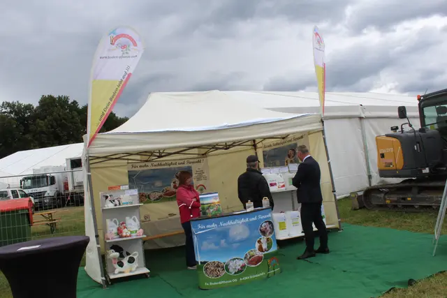 Foto: MeinBezirk Perg/Köck