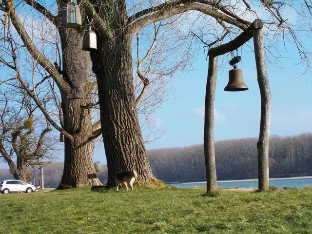 In Orth an der Donau hängt eine Glocke. Damals sollten Glocken verirrte Seelen nach Hause holen. Steht diese ebenfalls dafür? | Foto: Rebekka Sadiki-Peckary