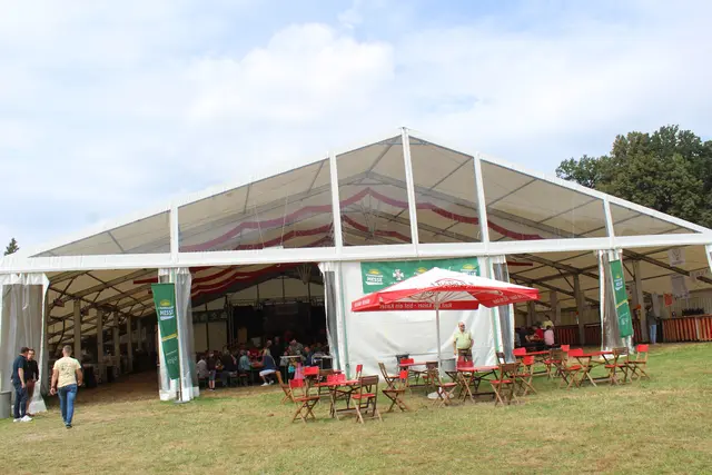 Foto: MeinBezirk Perg/Köck