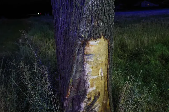 Foto: laumat.at/Matthias Lauber