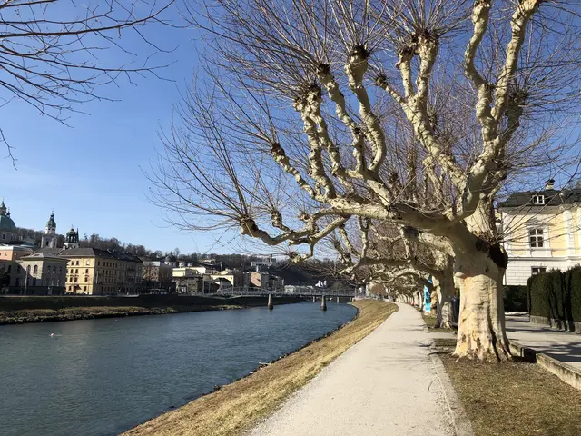 Mit dem heutigen Samstag, 23. August 2025, tritt die Waldbrandverordnung, die seit einer Woche galt, außer Kraft, meldet die Stadt Salzburg.  | Foto: sm