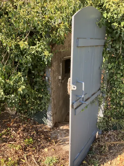 Foto: Gabriela Stockmann