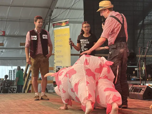 Foto: MeinBezirk Perg/Köck