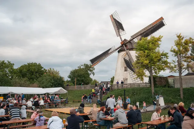 Das Windmühlenfest lockte Besucherinnen und Besucher nach Podersdorf. | Foto: Christian Kutis