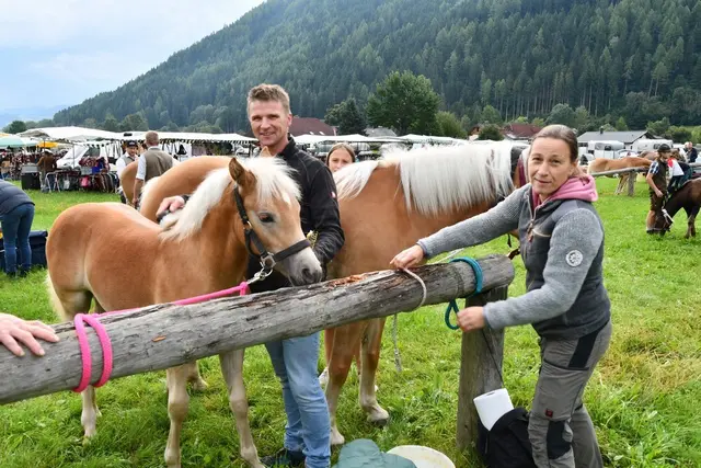 Der Pferdemarkt in Schöder lockte viele Besucherinnen und Besucher aus ganz Österreich an. | Foto: Anita Galler