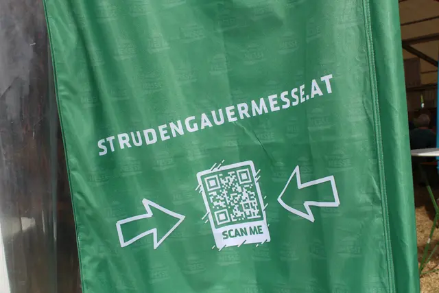 Foto: MeinBezirk Perg/Köck