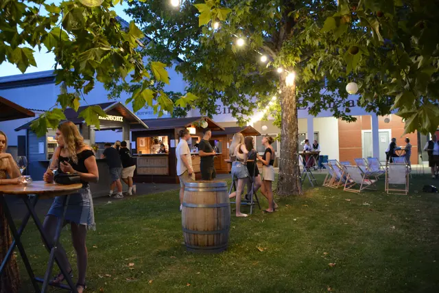 Großveranstaltungen wie die Rotweinfeste und der Blaufränkischland Marathon ziehen internationale Gäste ins Mittelburgenland und stärken den Tourismus. | Foto: Victoria Rosenberger MeinBezirk