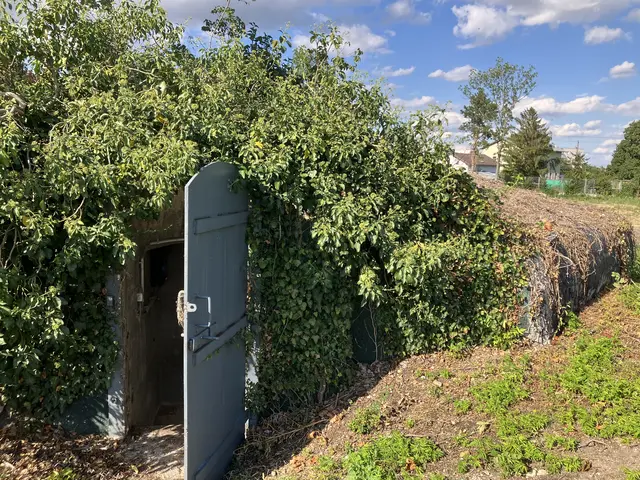 Eingang zum Luftschutzbunker der LMF | Foto: Gabriela Stockmann