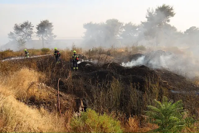 Kampf gegen das Feuer in der Gluthitze. | Foto: SID Team-LFKDO NÖ