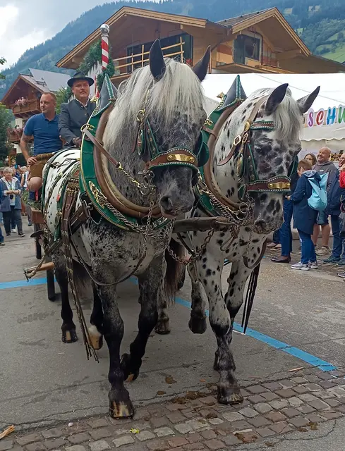 Foto: Brigitte Krämer