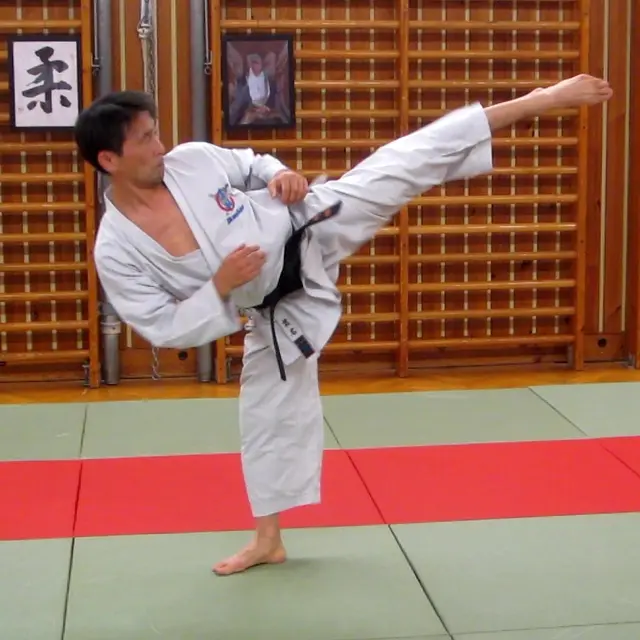 Als Gastlehrer im JJVO: Nukina Nobuyuki-sensei, 6. Dan Wadōryū Karatedō