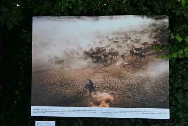 Ein Foto am Weg zum Kurpark, das mich besonders beeindruckte: unvorstellbar große Farmen und Herden in Australien
