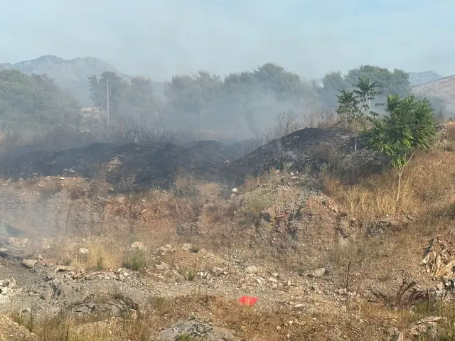 Foto: SID Team-LFKDO NÖ