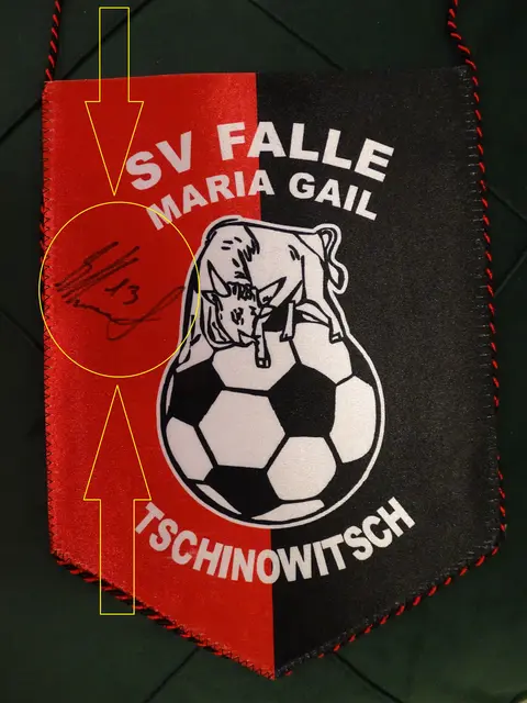 Autogramm von Martin Hinteregger am Fan-Wimpel von Maria Gail - so soll's sein :-)