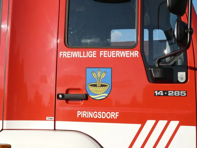 Foto: Vanessa Wittmann