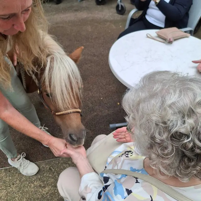 Foto: Häuser zum Leben