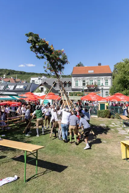 Foto: René Brunhölzl/MeinBezirk