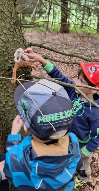 Foto: Jagdgesellschaft Wolfsegg am Hausruck