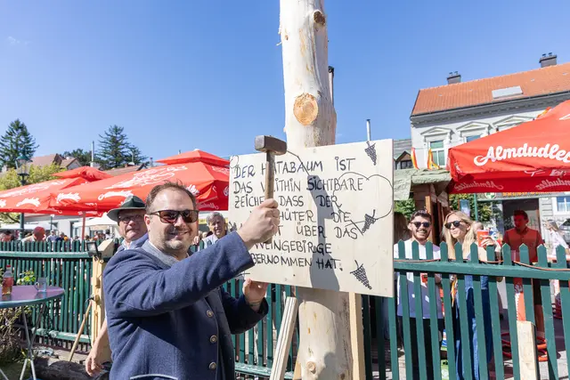 Bezirksvorsteher Daniel Resch (ÖVP) beim Anschlagen der Hiatabaum-Tafel. | Foto: René Brunhölzl/MeinBezirk