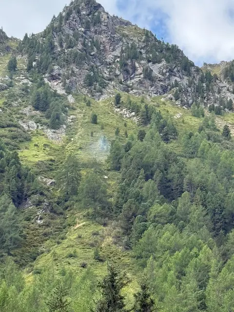 Foto: Feuerwehren Niederwölz und Krakaudorf