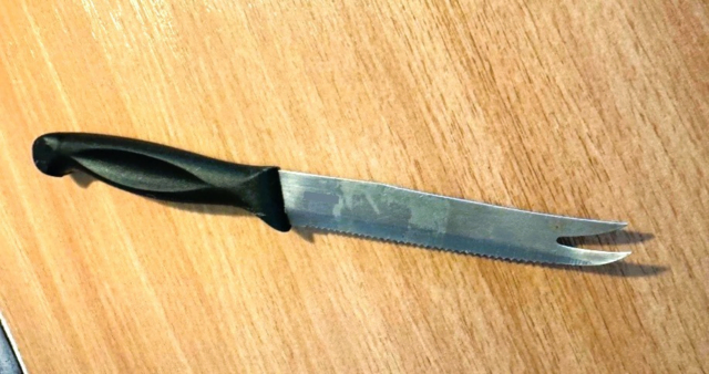 Sohn greift zu diesem Küchenmesser: Ein Familienstreit in der Donaustadt endete mit einer Festnahme. | Foto: LPD Wien