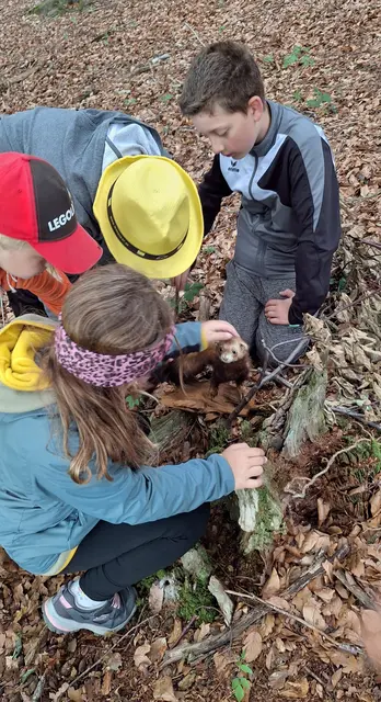 Ein ganzer Vormittag im Wald stand ganz im Zeichen von Naturerlebnis und Wissensvermittlung. | Foto: Jagdgesellschaft Wolfsegg am Hausruck