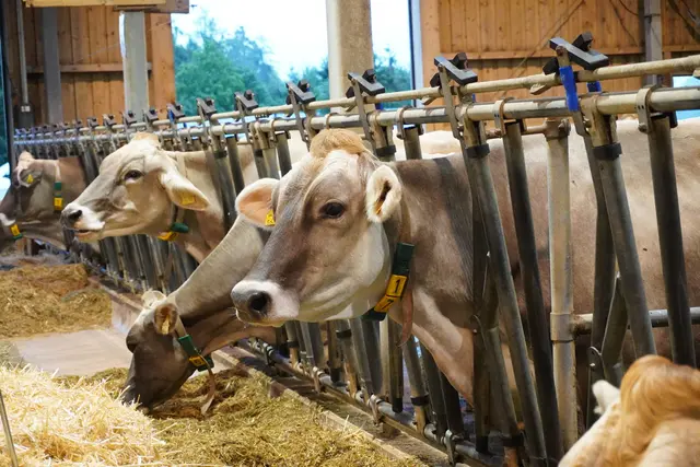 Die Gastgeber Wolfgang und Michaela Gratl präsentierten stolz ihren Wölflhof. | Foto: AMG