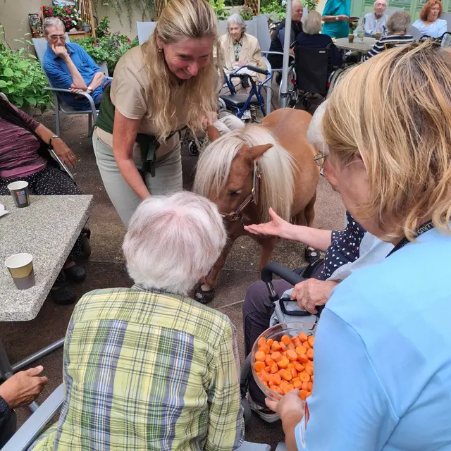 Foto: Häuser zum Leben